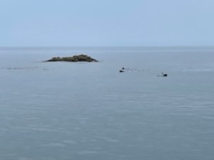 IMG_0317
