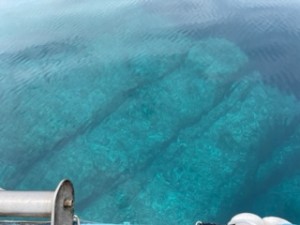 IMG_0318