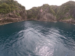 F0122975-E654-4F4F-878D-4C7291CE80AA