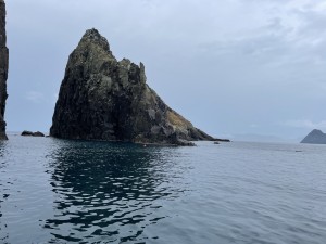 IMG-0659