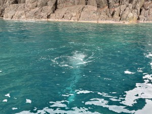 IMG-0661