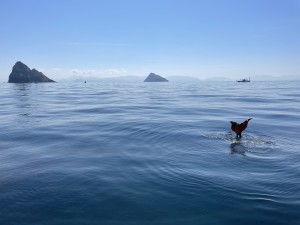 IMG_0723