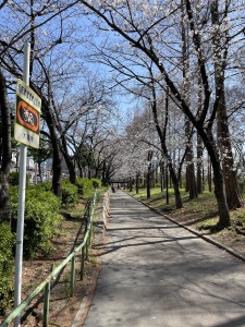 37AAC61E-D559-40B0-83DB-B01F701EF1B3