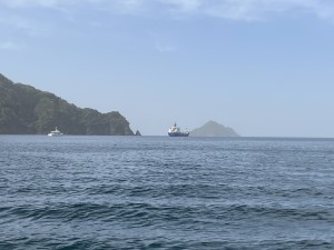 3FD88E11-62FD-4A73-96A2-4E5AA9F5C427