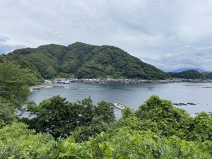 4E67B316-23DC-4D57-BCBC-DB026C5A947F