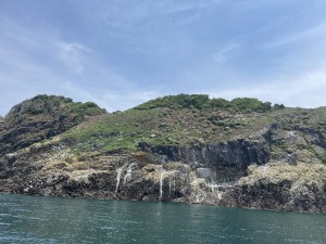 ED0B71AB-EACB-4915-AFF9-FE8CA9BD15D9