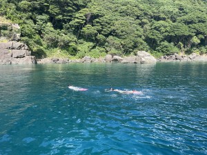 85F60624-1ADF-4D37-A07F-564C5750B81E