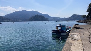 66F507B6-88A6-414D-9F77-DAC9FB772927