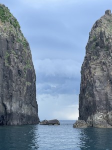 1F444370-7D8B-4EE9-A208-D0561D3F90AF