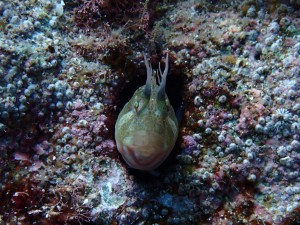 P7130080