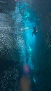dji_export_20250825_photo_0005